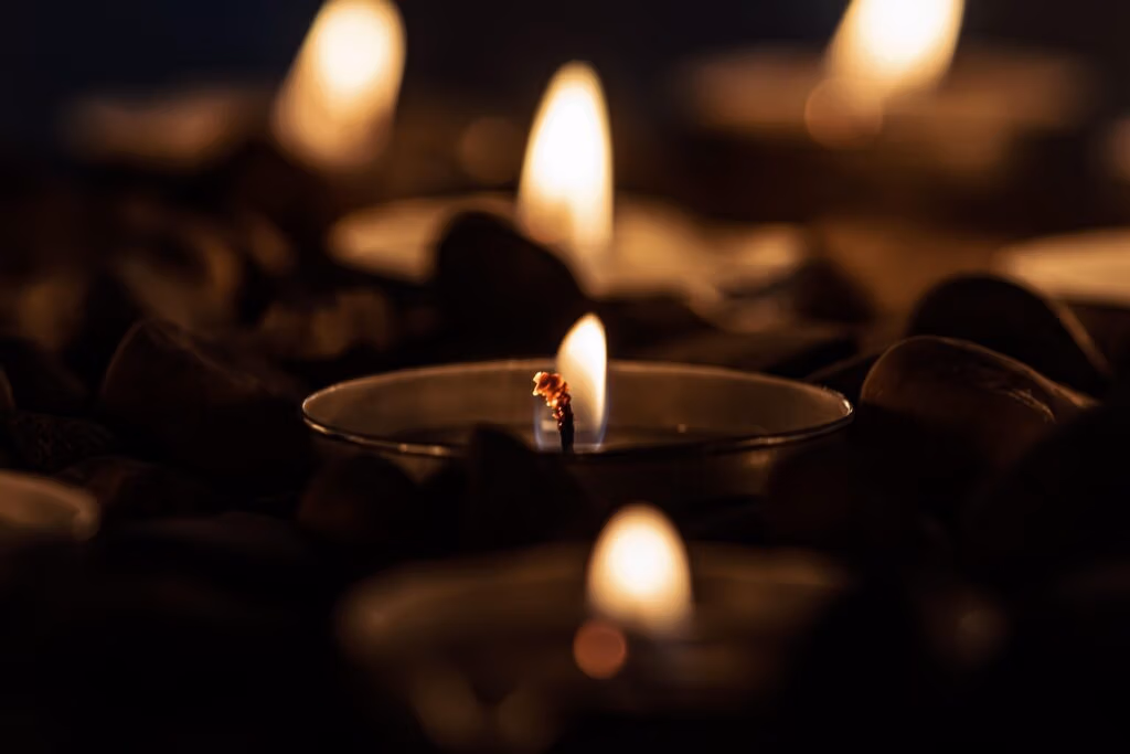 Verstorbene Tiere kommunizieren auch