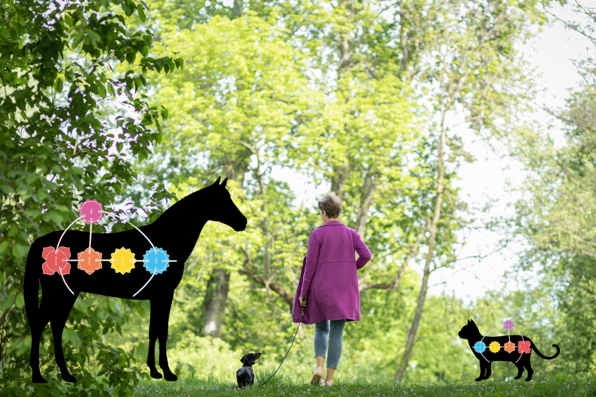 Mammalian Design – Frau mit Pferd, Hund und Katze im Wald